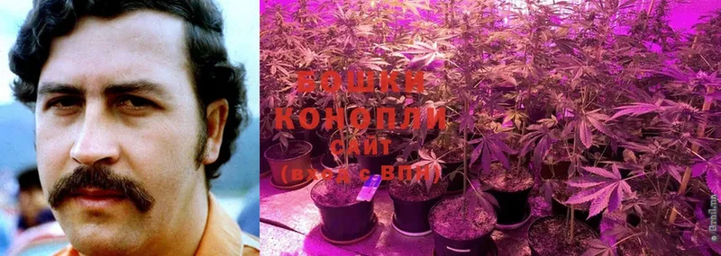 где продают наркотики  Казань  Бошки Шишки LSD WEED 